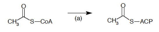 Acety-CoA_ACP_transacylase